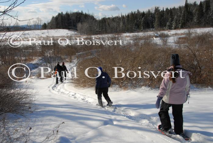 Sports-Snowshoe 75-58-00214