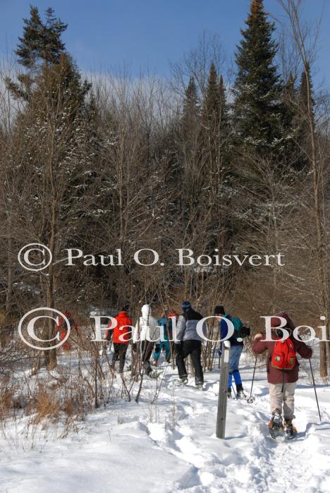 Sports-Snowshoe 75-58-00249