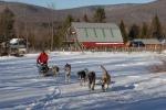 Sports-Dogsled 75-22-00270