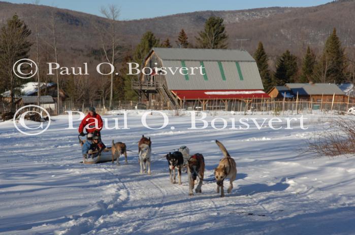 Sports-Dogsled 75-22-00270