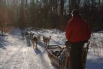 Sports-Dogsled 75-22-00271