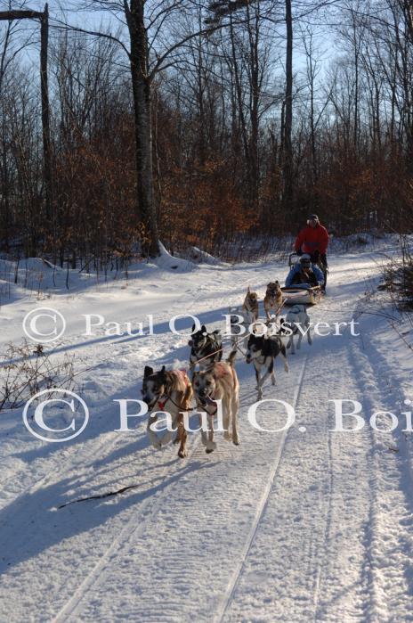 Sports-Dogsled 75-22-00273