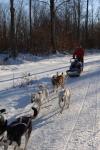 Sports-Dogsled 75-22-00274