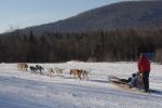Sports-Dogsled 75-22-00277