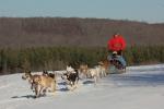 Sports-Dogsled 75-22-00278