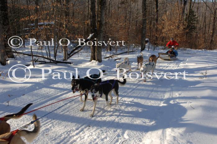 Sports-Dogsled 75-22-00280