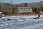 Sports-Dogsled 75-22-00284