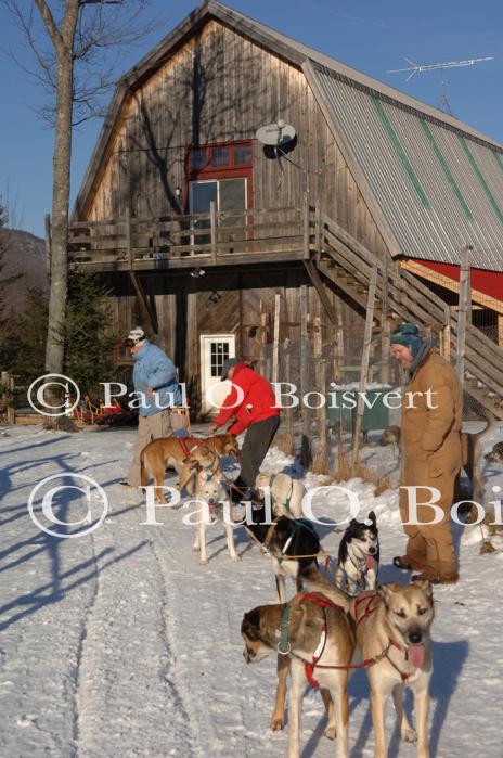 Sports-Dogsled 75-22-00285