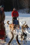 Sports-Dogsled 75-22-00297