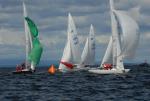 Sports-Etchells Race 75-46-00026