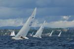 Sports-Etchells Race 75-46-00064