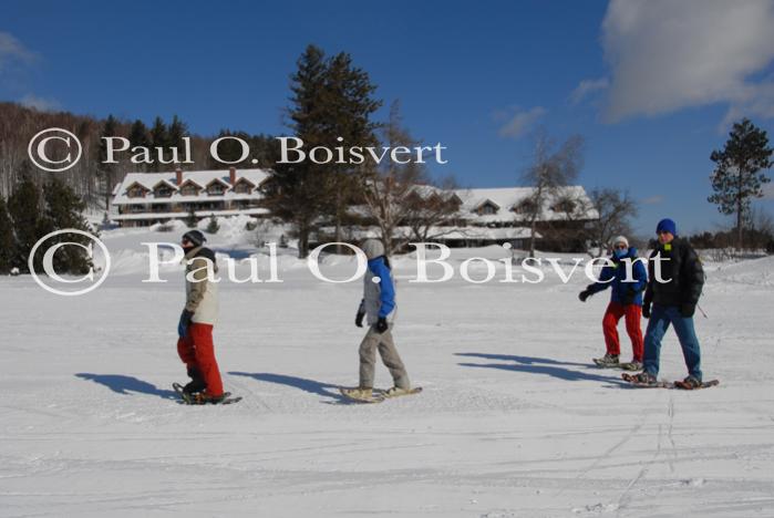 Stowe 81-02-01015