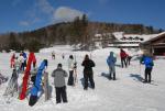 Stowe 81-02-01020