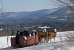 Stowe 81-02-01022