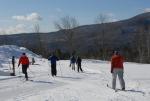 Stowe 81-02-01024