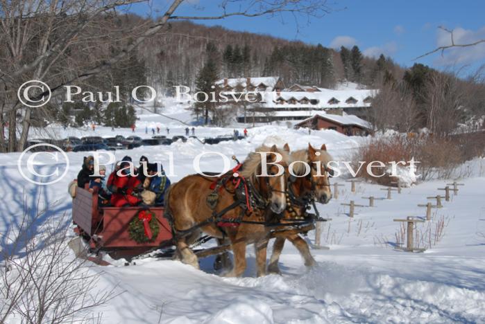 Stowe 81-02-01029