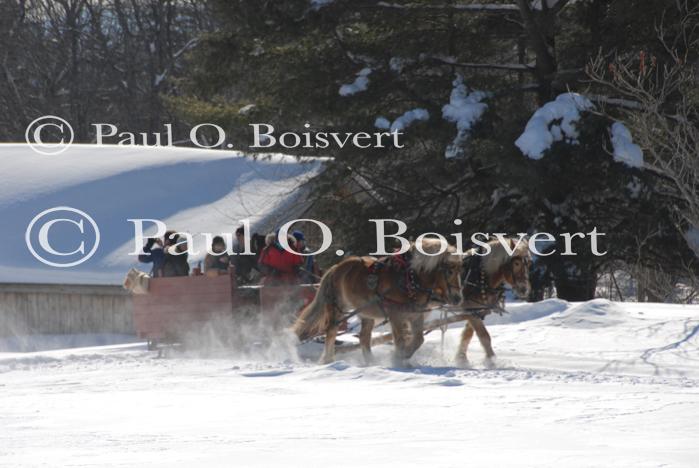 Stowe 81-02-01030