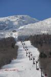 Stowe 81-02-01057