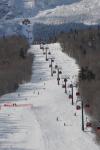 Stowe 81-02-01058