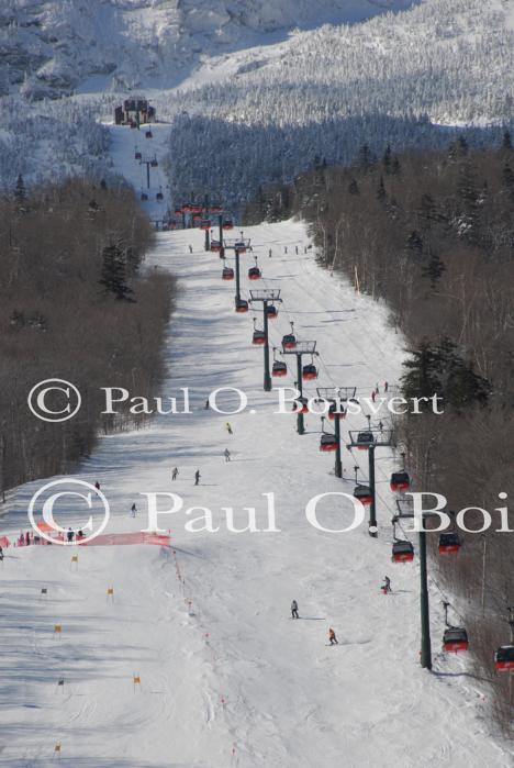 Stowe 81-02-01058