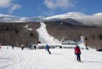 Stowe 81-02-01068