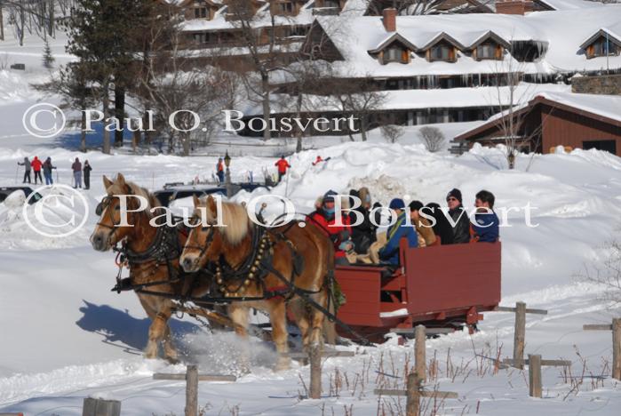 Stowe 81-02-01072