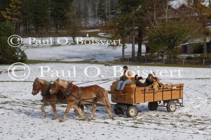 Stowe 81-02-01085