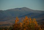 White Mountains 90-20-00802