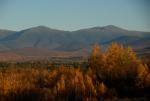 White Mountains 90-20-00803