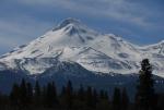 Mt Shasta 90-22-00006