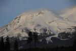 Mt Shasta 90-22-00015