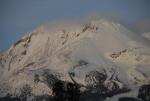 Mt Shasta 90-22-00016