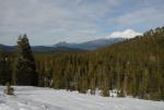 Mt Shasta 90-22-00032