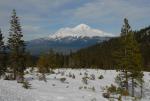 Mt Shasta 90-22-00035