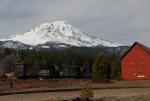 Mt Shasta 90-22-00039