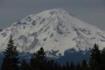 Mt Shasta 90-22-00046