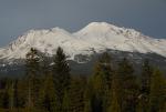 Mt Shasta 90-22-00049