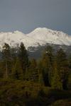 Mt Shasta 90-22-00050