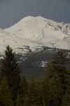 Mt Shasta 90-22-00051