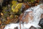 Mt Shasta 90-22-00059