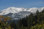 Mt Shasta 90-22-00063