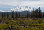 Mt Shasta 90-22-00065