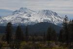 Mt Shasta 90-22-00068