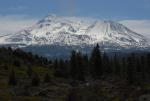 Mt Shasta 90-22-00069