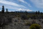 Mt Shasta 90-22-00073