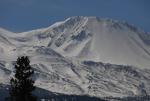 Mt Shasta 90-22-00074