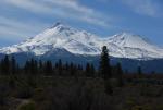 Mt Shasta 90-22-00075