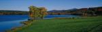 Panoramic-Fall 55-02-00015