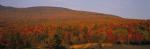 Panoramic-Fall 55-02-00062