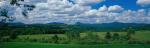 Panoramic-Summer 55-06-00016